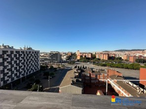 Vistas